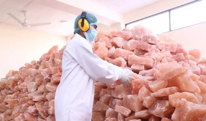 Edible Salt Supplier production in lahore