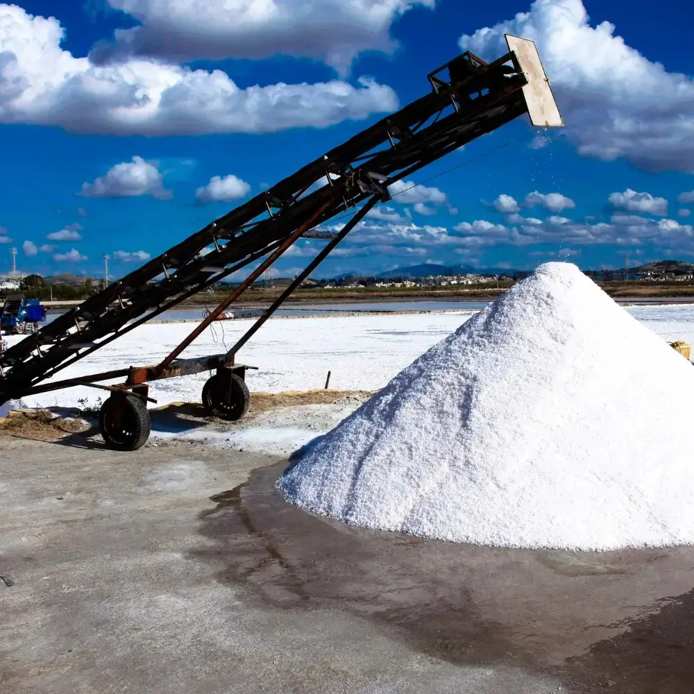 Industrial Salt Collection Machine